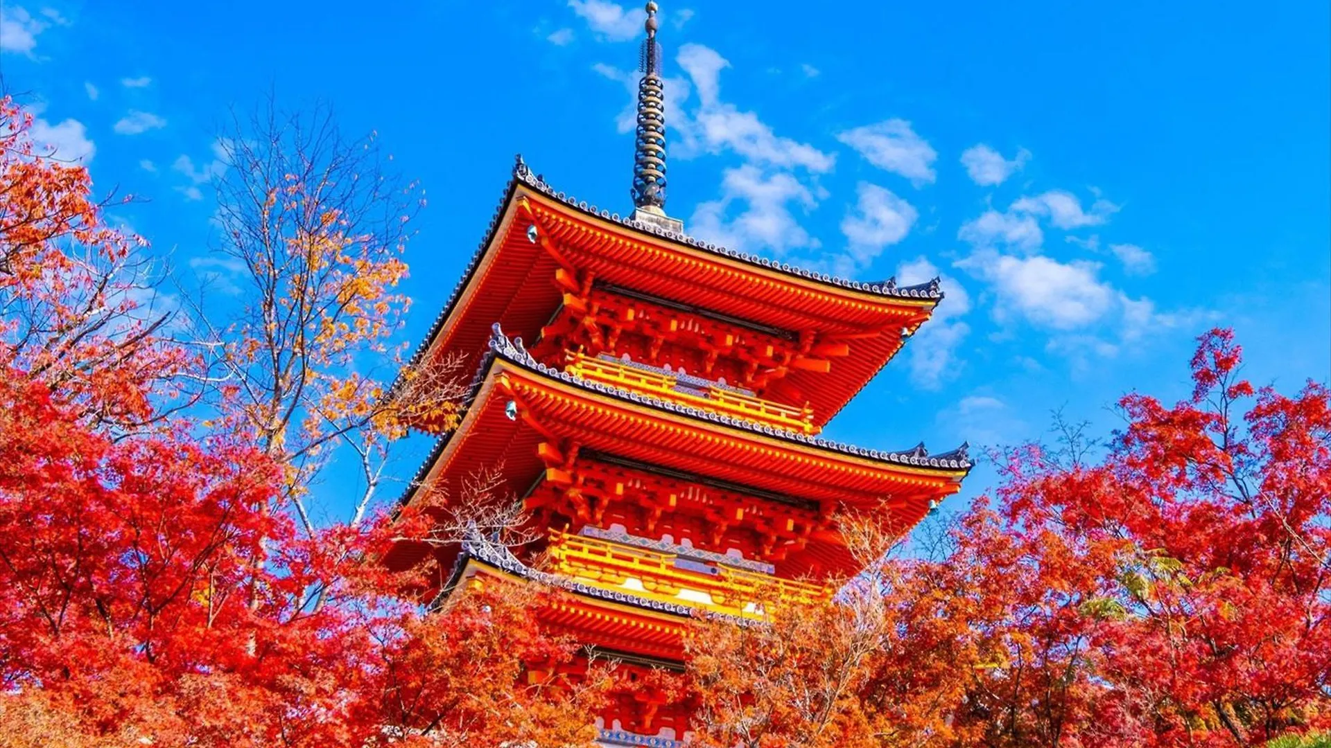 Hanare By Tokyu Stay Kyoto Sanjo