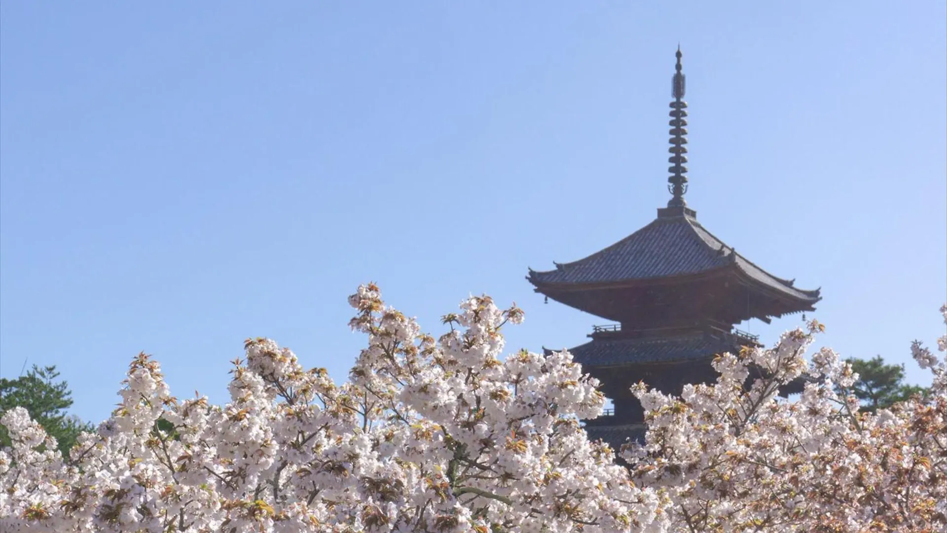 Hanare By Tokyu Stay Kyoto Sanjo